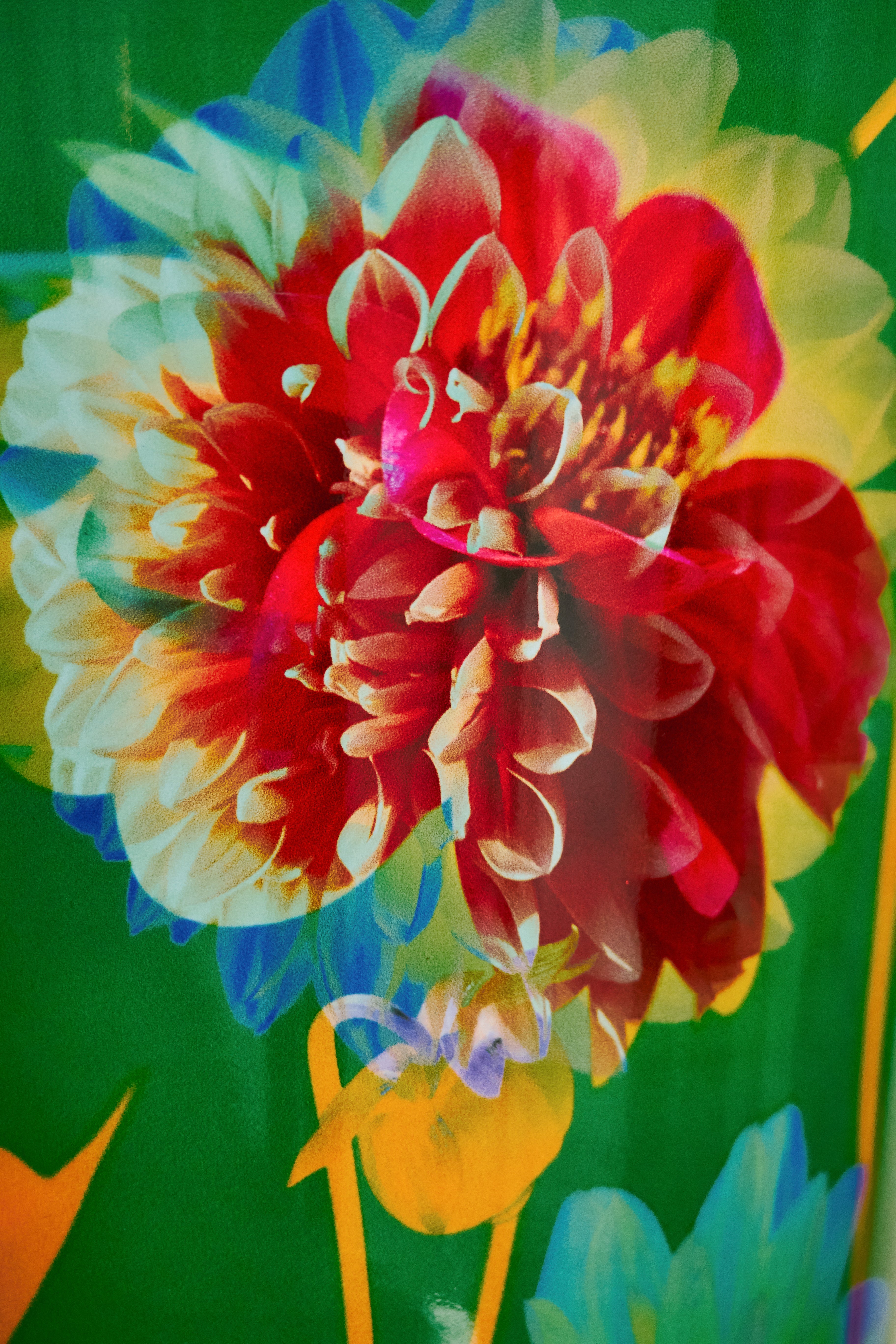 baobab-arty-flowers-bouquet-bougie-parfum-e-classique-verte image 4