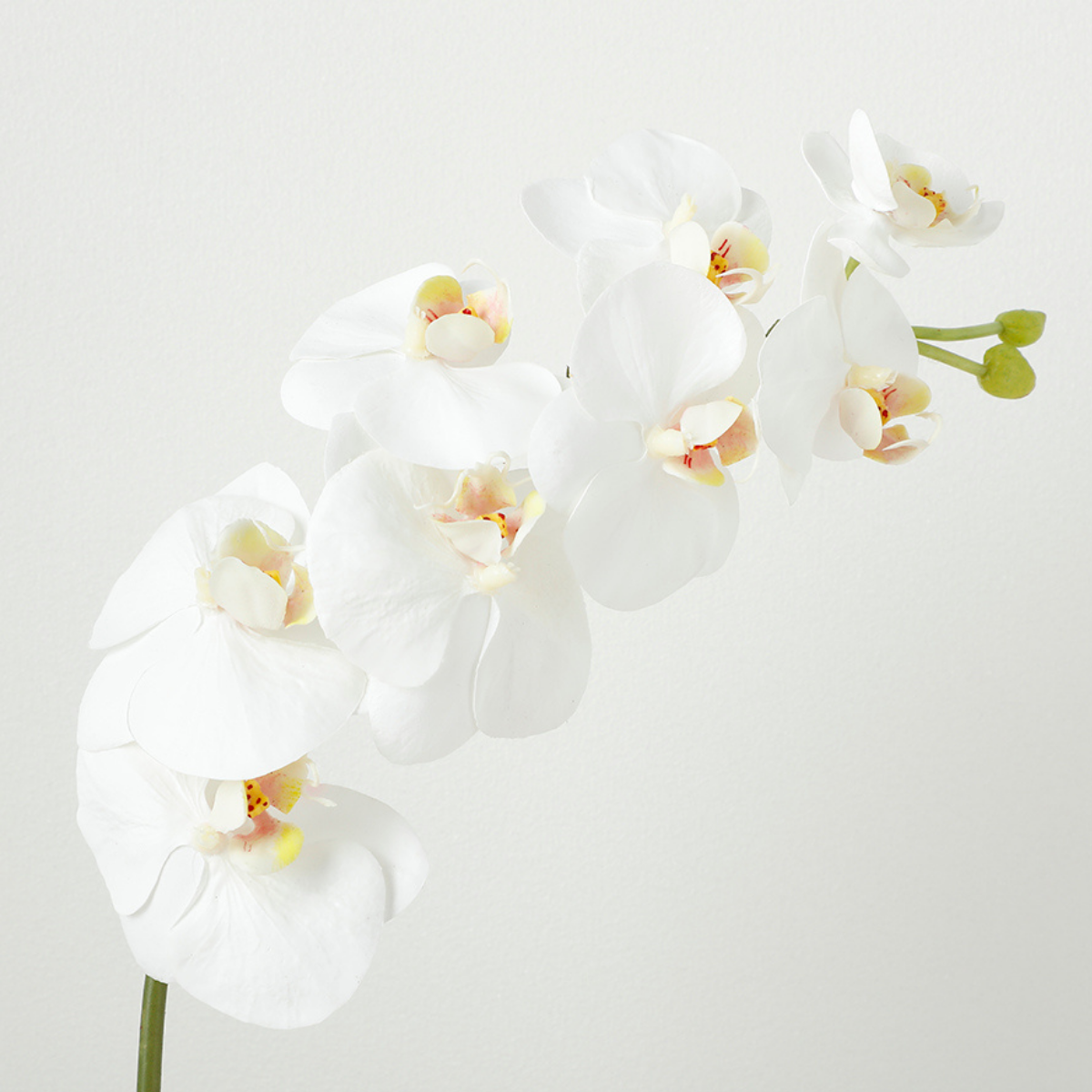 sia-noah-tige-orchid-e-artificielle-blanche-72-cm-premium image 3