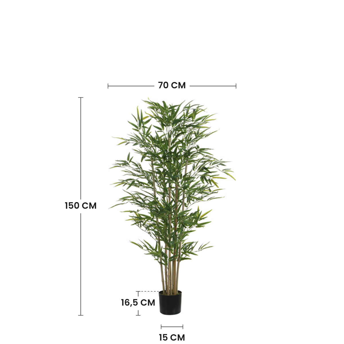 sia-noah-bambou-en-pot-vert-150-cm-naturel image 3