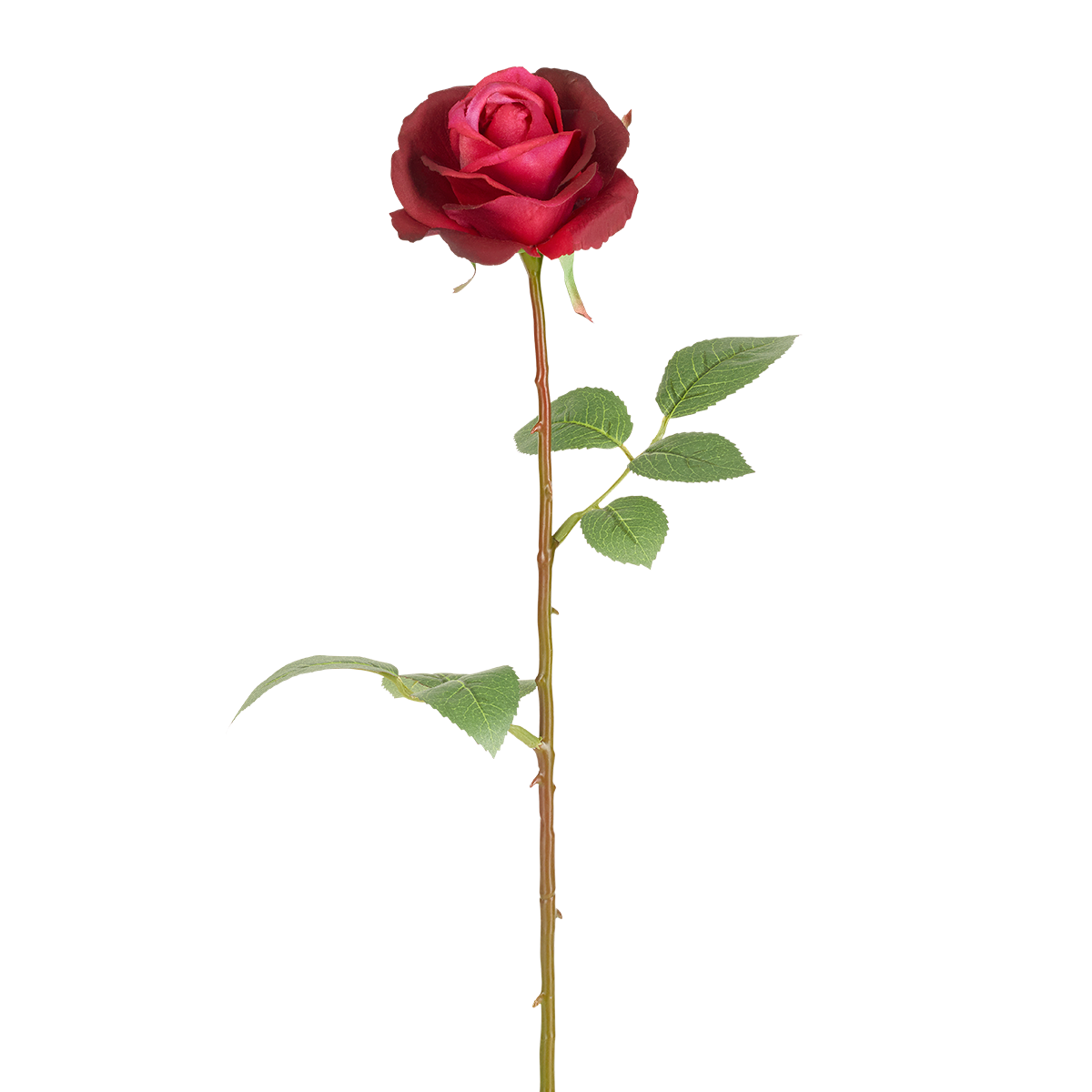 sia-deco-noah-tige-rose-sophia-65-cm-rose image 8