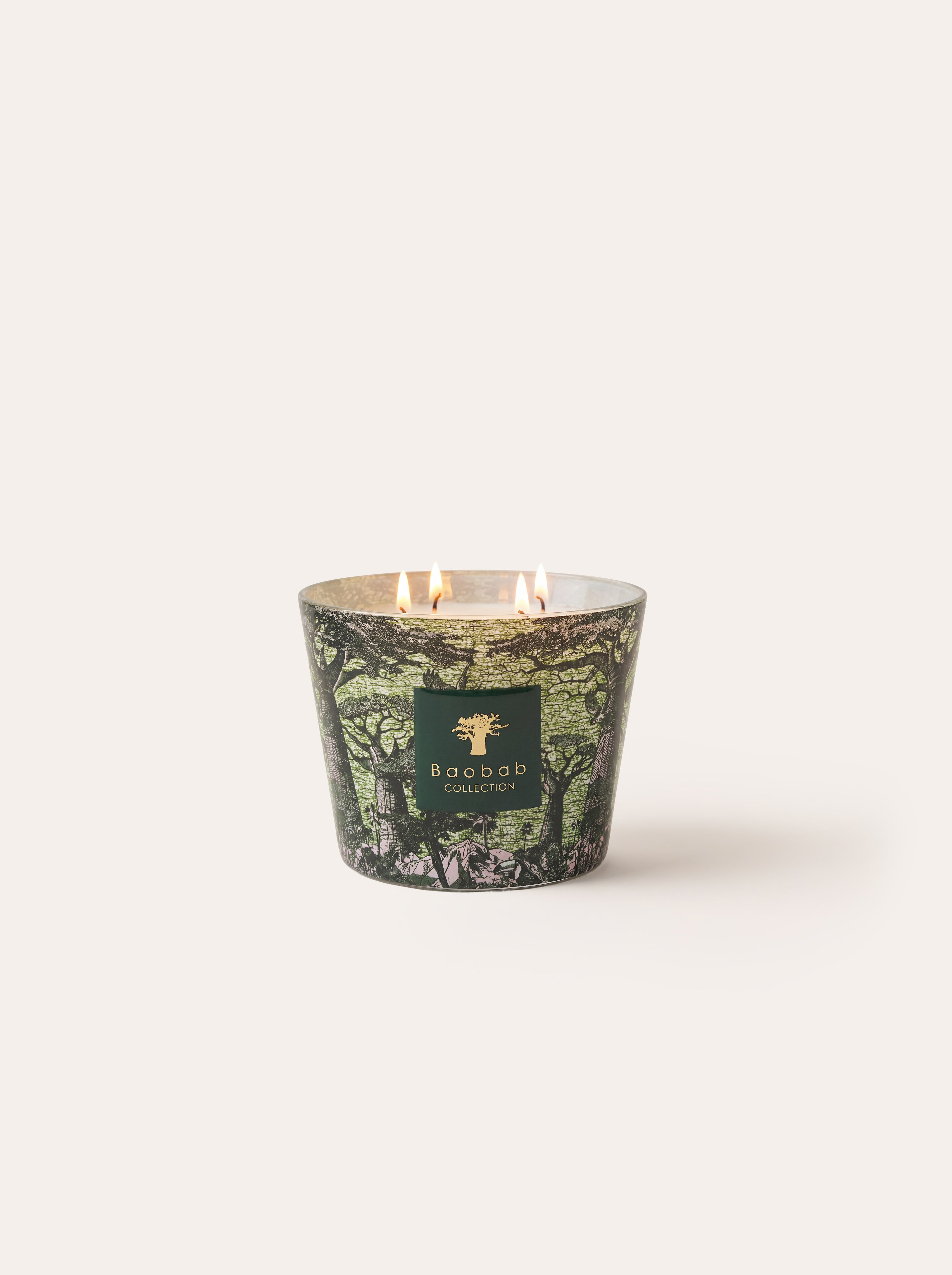 baobab-collection-touba-bougie-parfum-e-classique-sacred-trees image 6