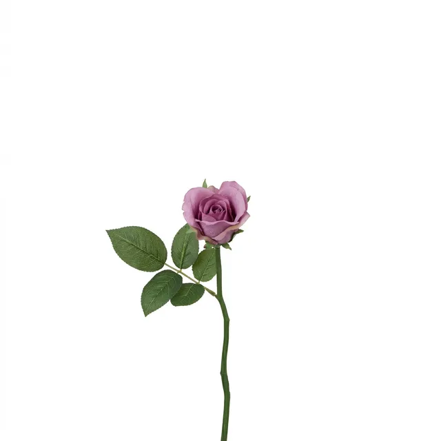 sia-noah-tige-rose-maria-ferm-e-32-cm-rose image 1