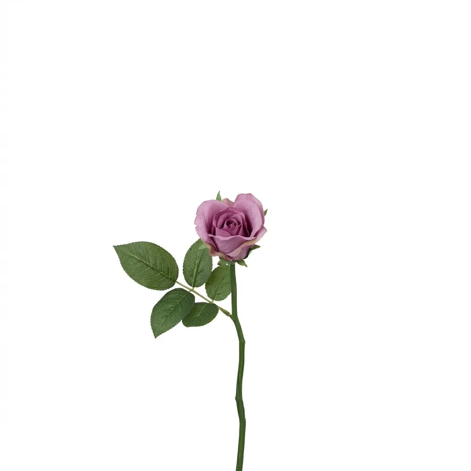 sia-noah-tige-rose-maria-ferm-e-32-cm-rose image 1