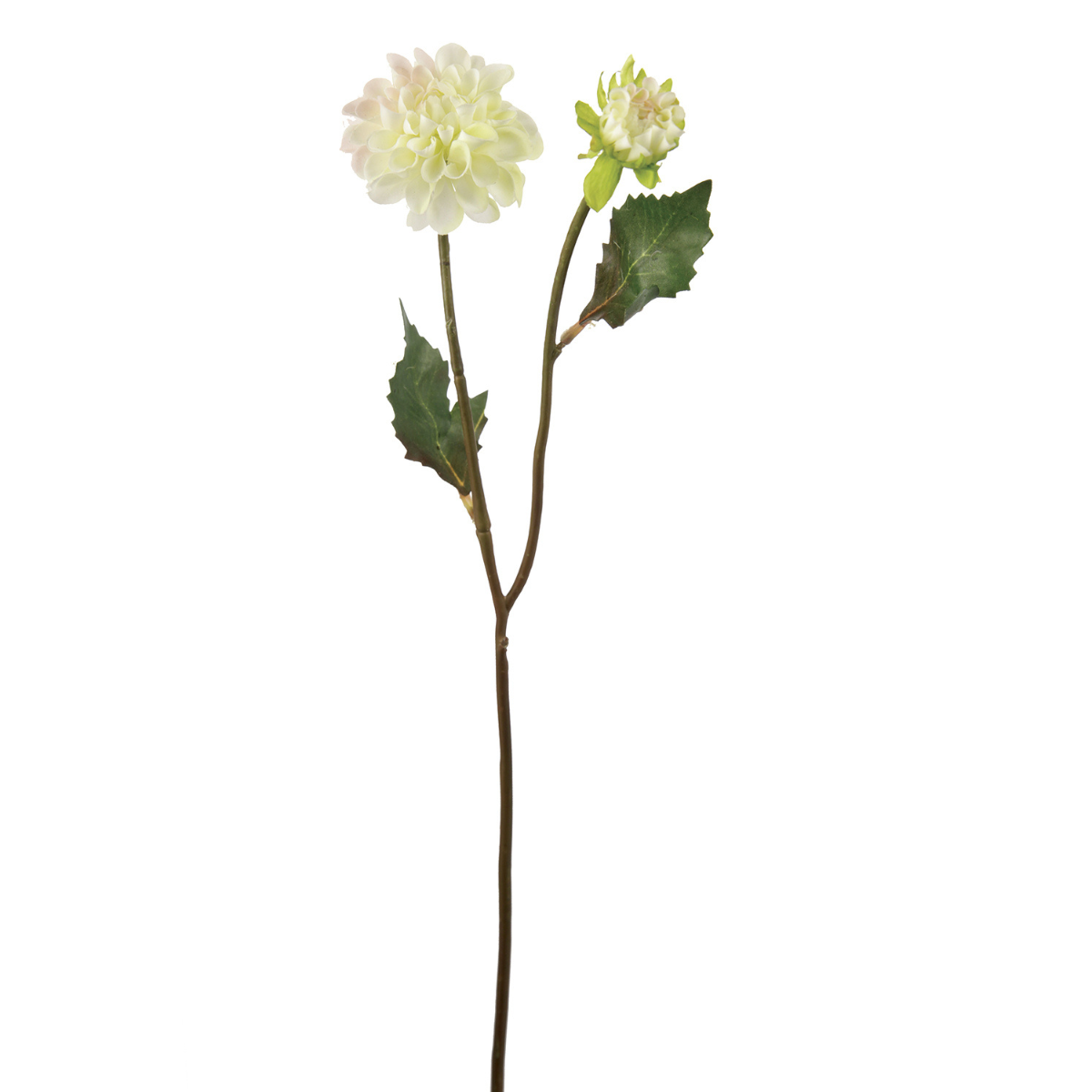 sia-noah-dahlia-andreas-tige-fleur-artificielle-rose-48-cm image 5