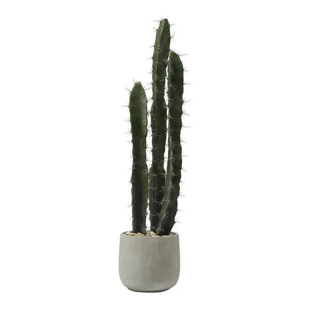 sia-deco-noah-cactus-pot-c-ramique-80-cm-vert image 1