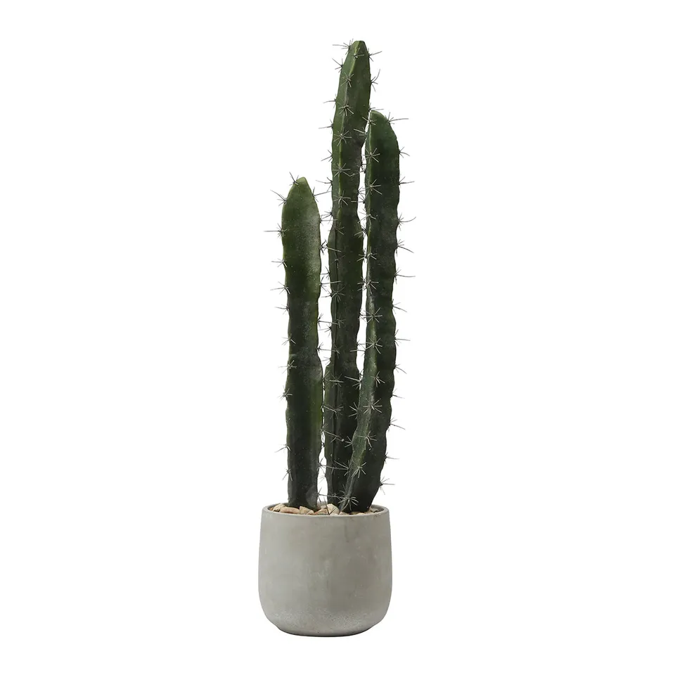 sia-deco-noah-cactus-pot-c-ramique-80-cm-vert image 1