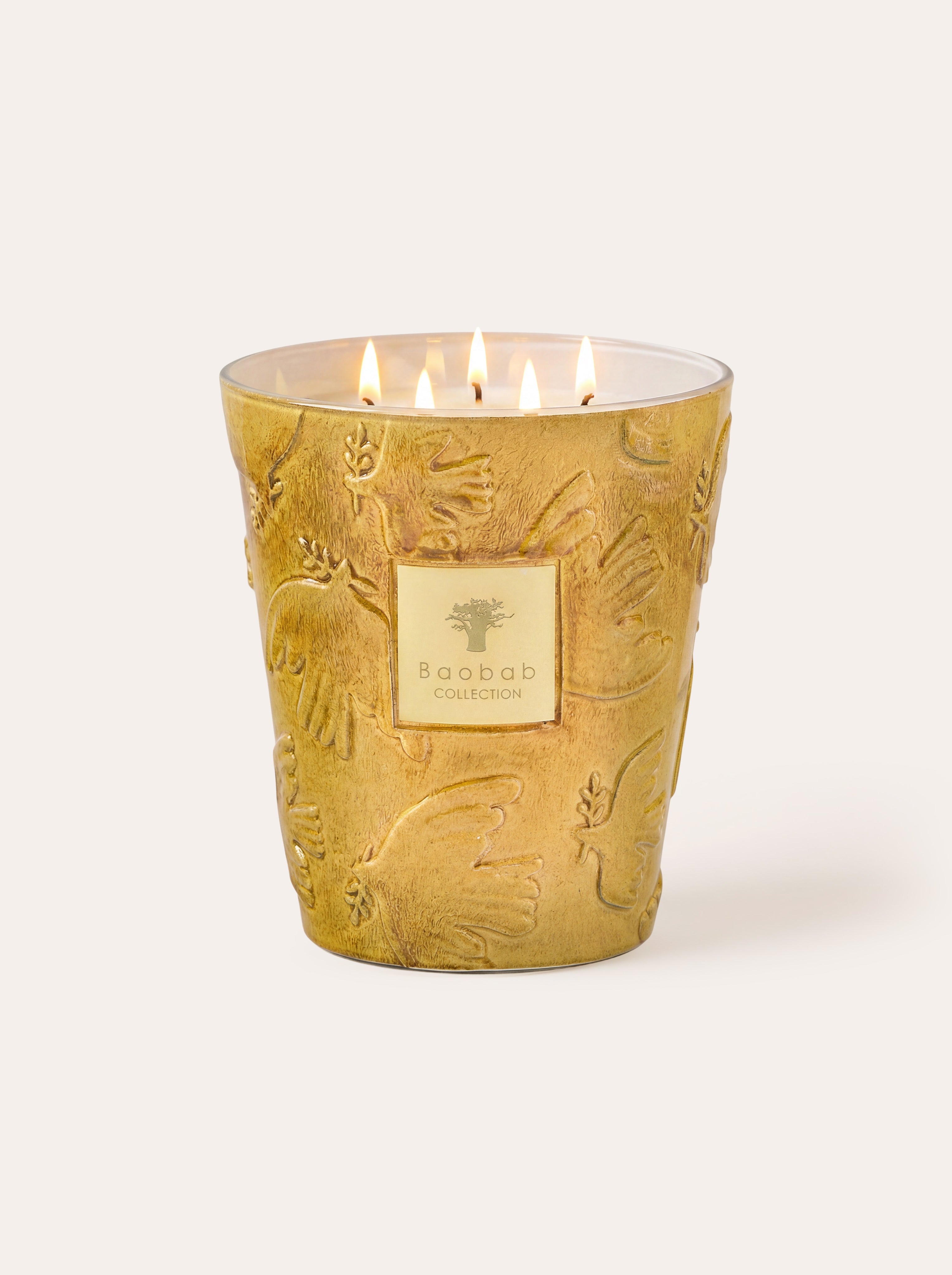 baobab-collection-paz-dove-bougie-parfum-e-classique-jaune image 1