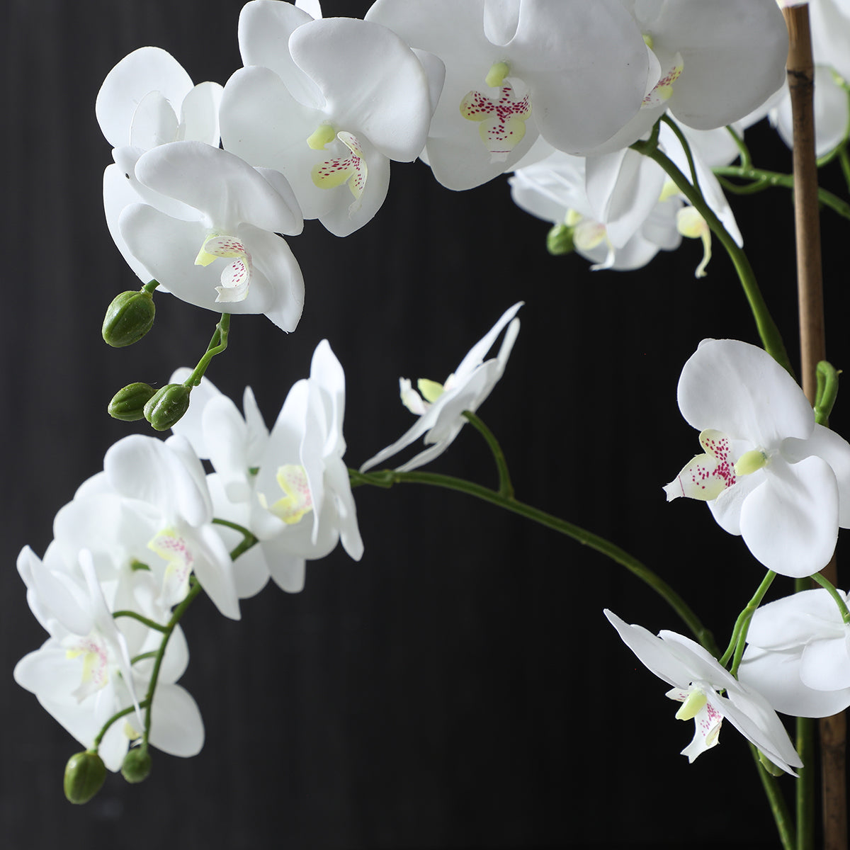 sia-deco-noah-lena-8-branches-orchid-e-artificielle-blanc-vase-dor image 4