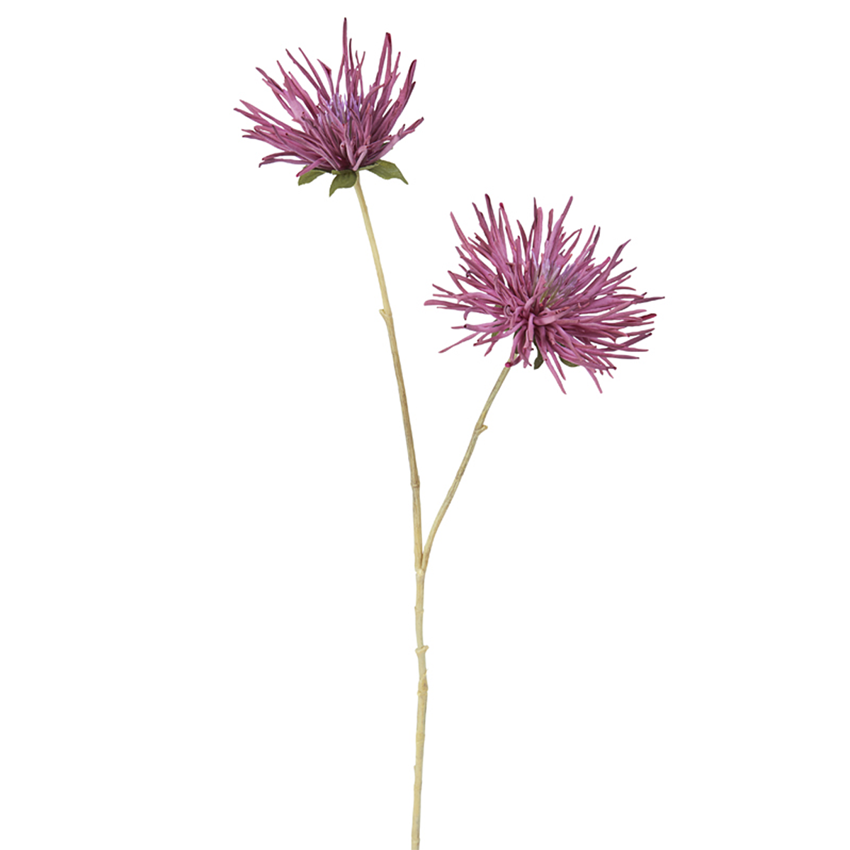 sia-noah-chrysanth-me-tokyo-tige-fleur-artificielle-mauve-73-cm image 1