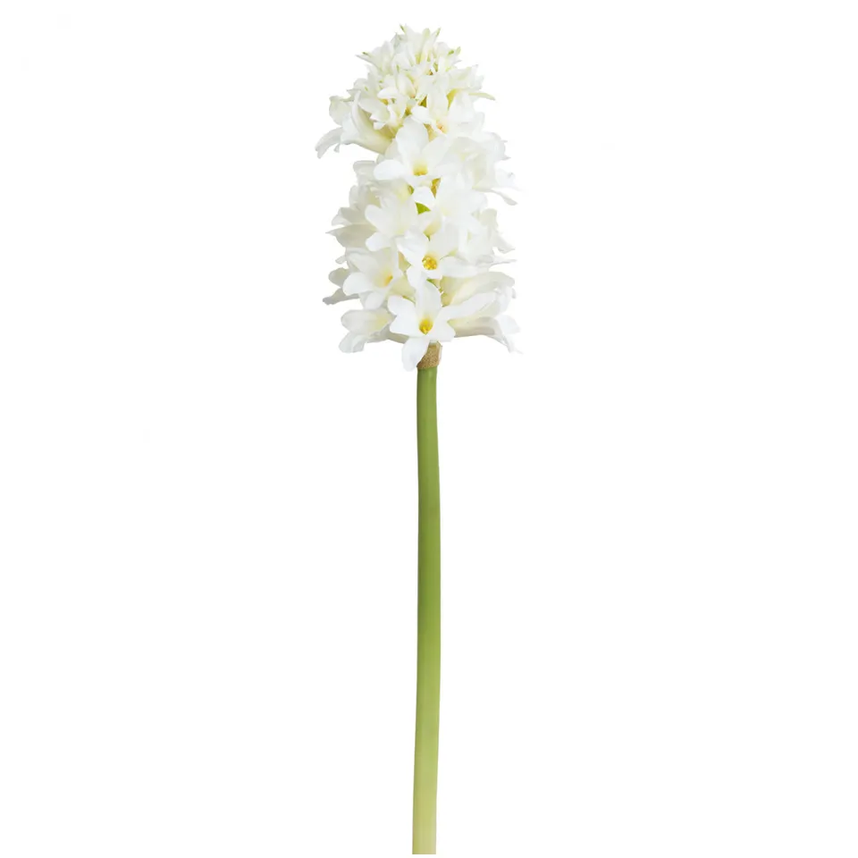 sia-noah-tige-de-jacinthe-natacha-45-cm-blanc image 1