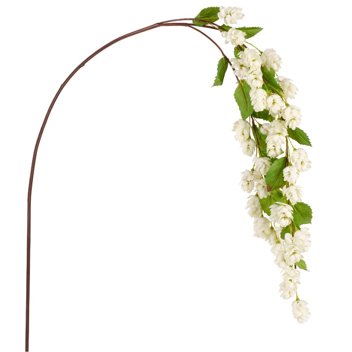 sia-noah-tige-houblon-tombante-verte-129-cm image 1