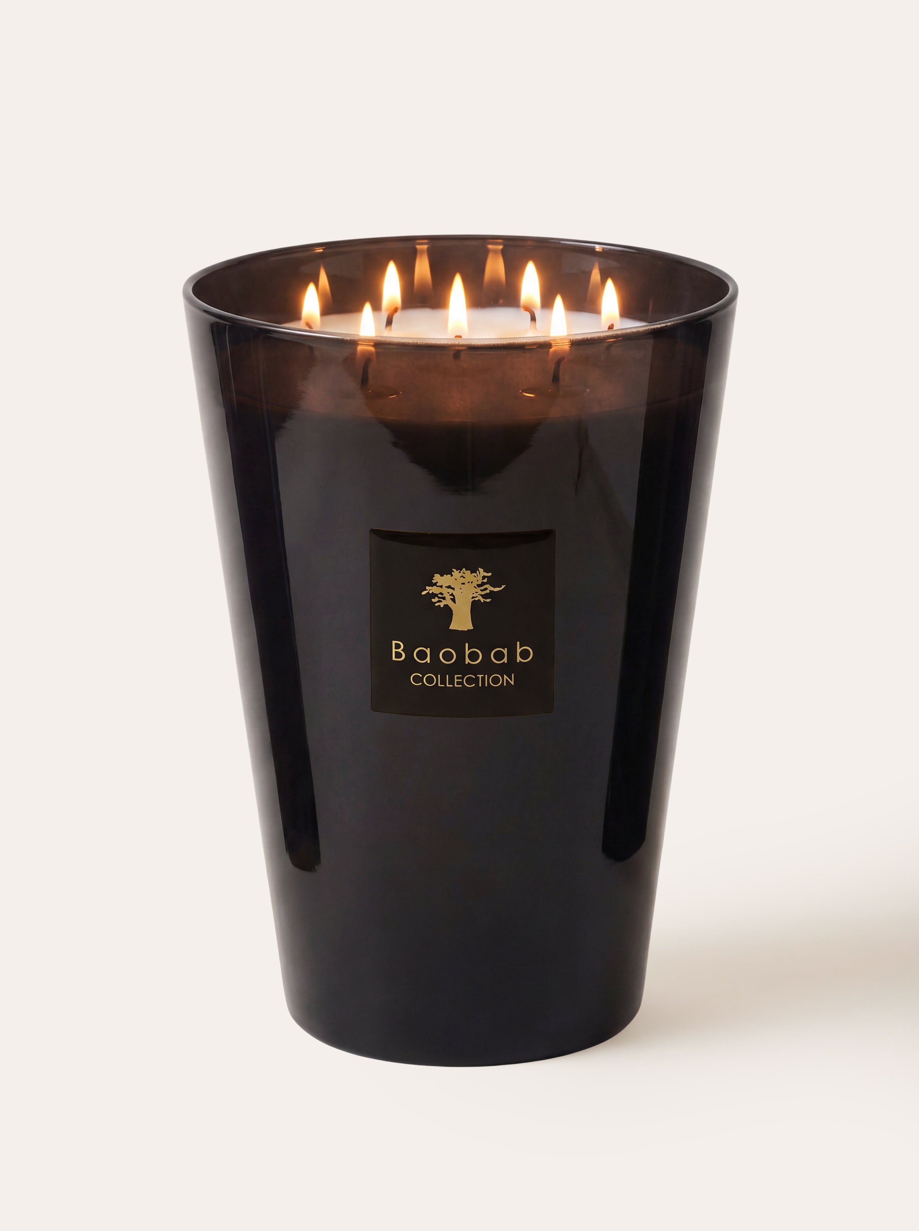 baobab-les-prestigieuses-encre-de-chine-bougie-classique image 6