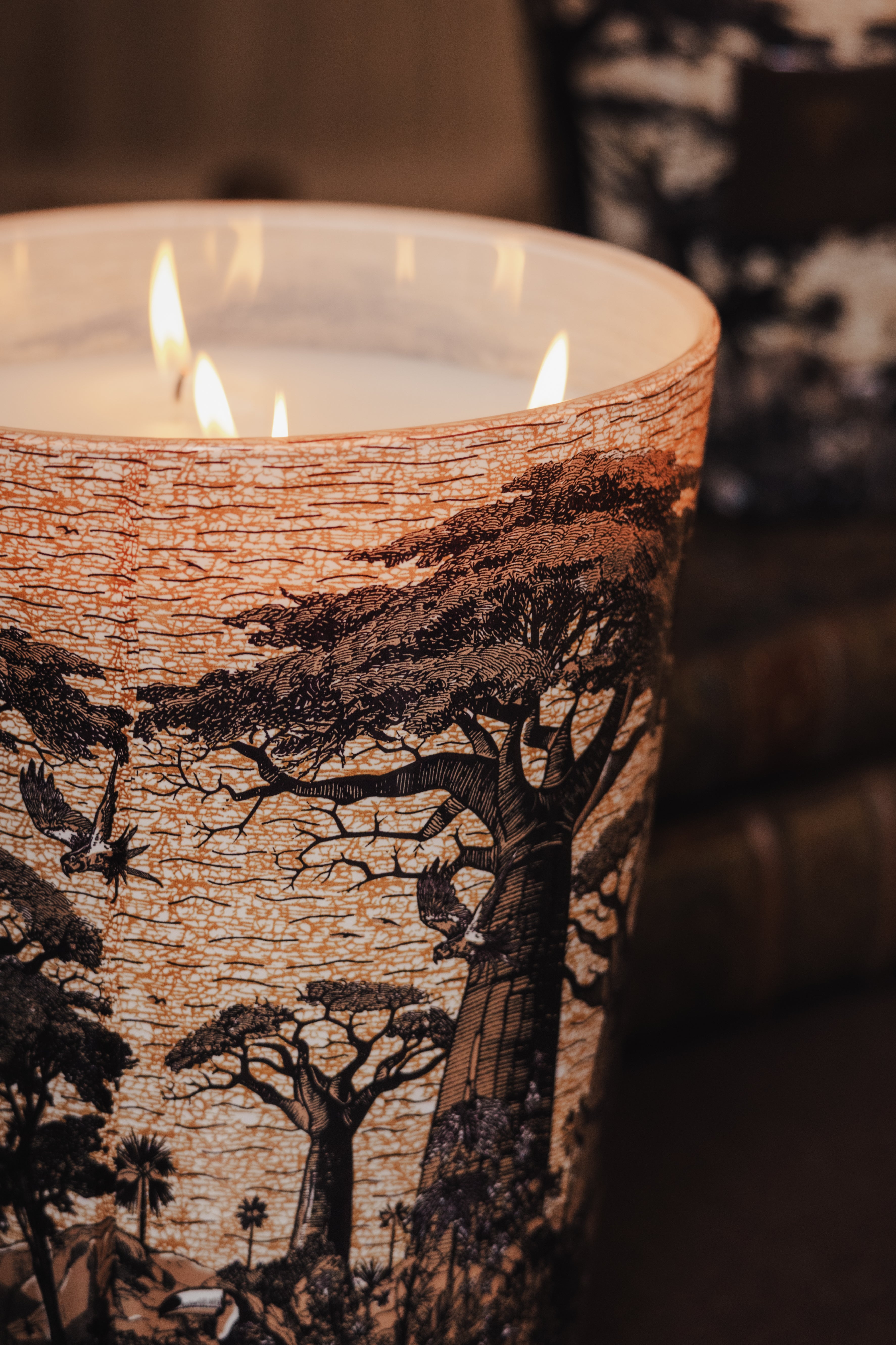 baobab-collection-sacred-trees-mankono-bougie-classique-pic-e image 5