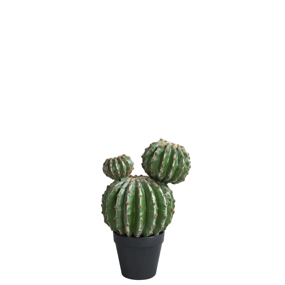 sia-deco-noah-cactus-rond-en-pot-32-cm-vert image 1