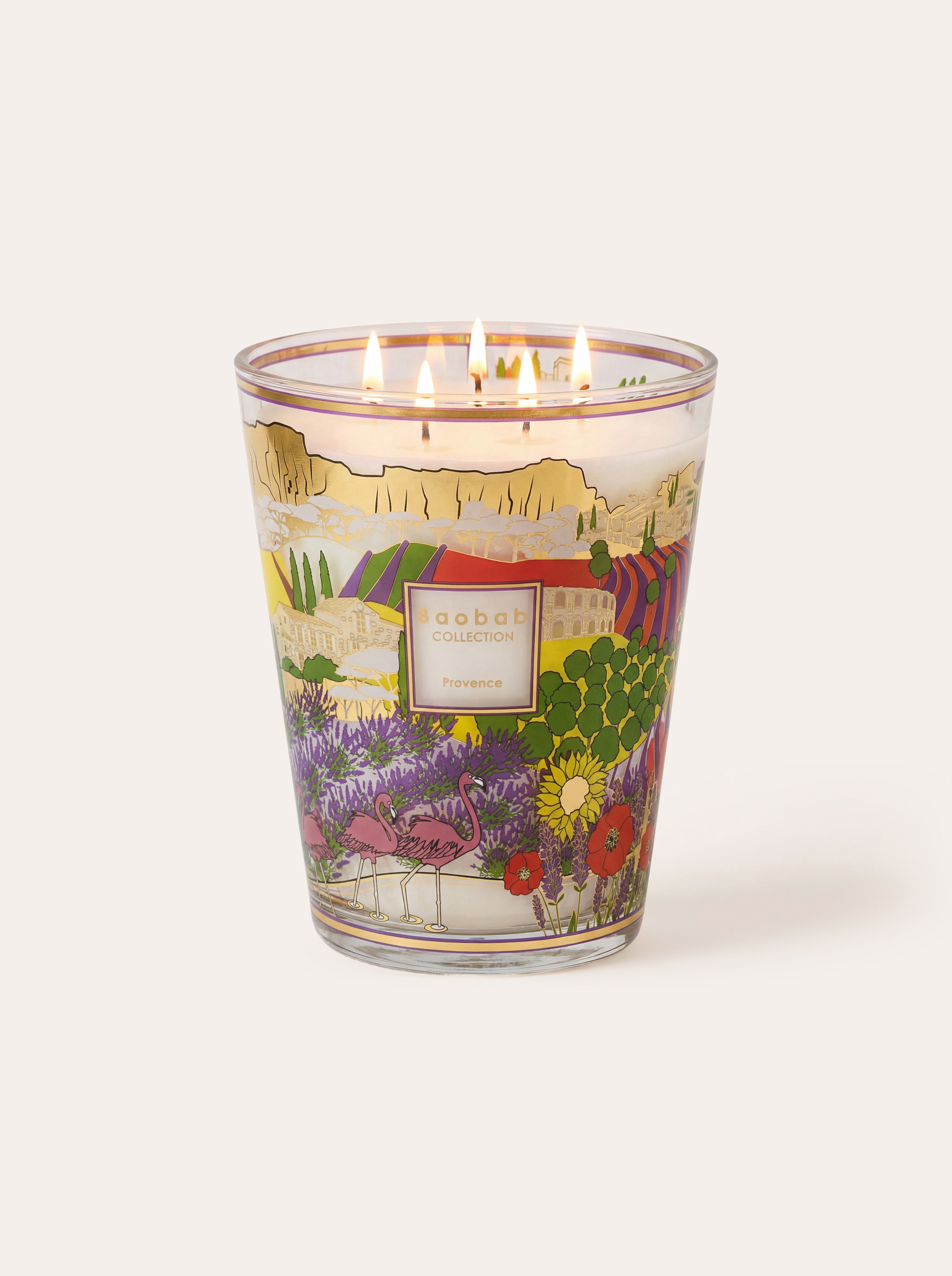 baobab-collection-provence-bougie-parfum-e-classique-s-rigraphi-e image 1
