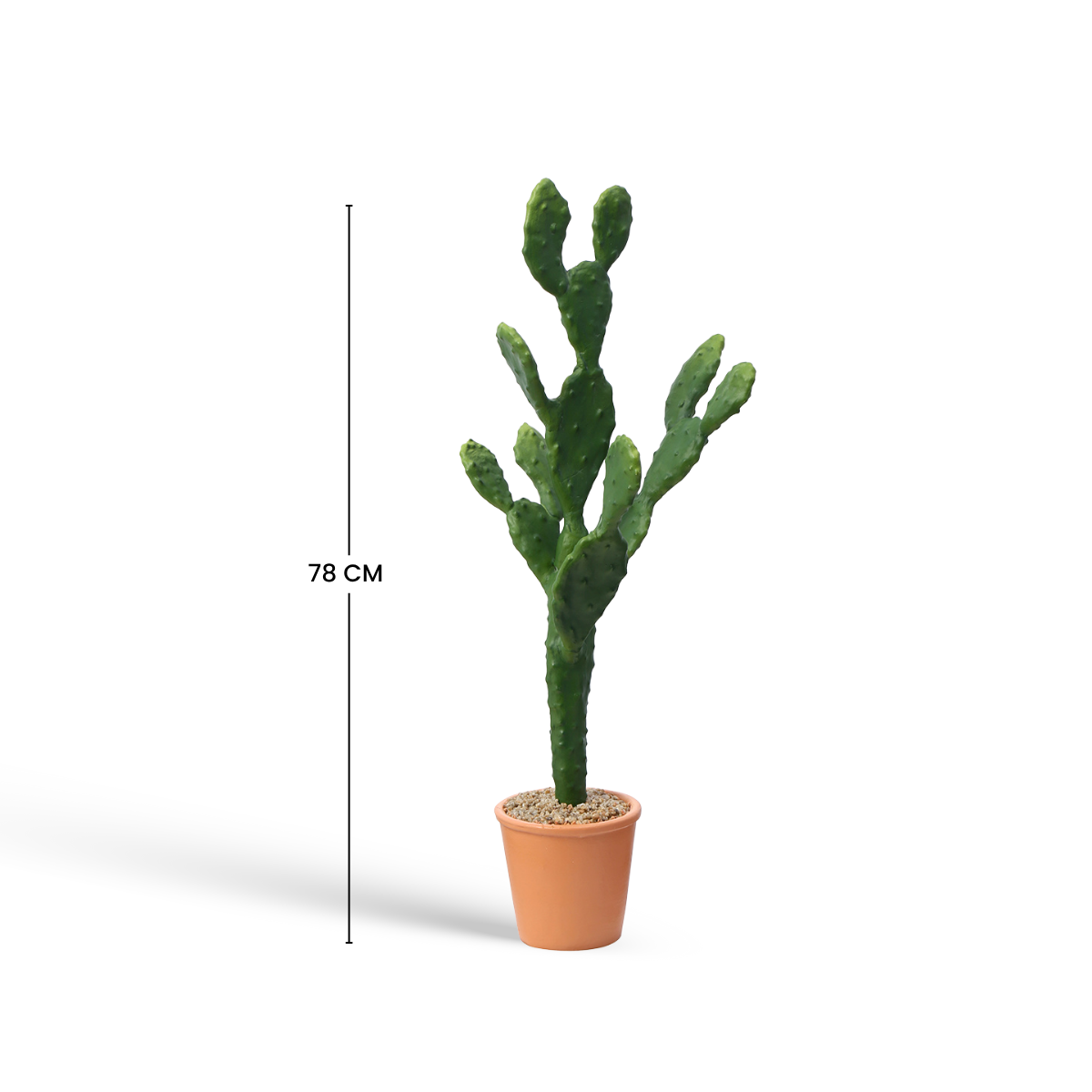 sia-deco-noah-cactus-artificiel-78-cm-vert image 5