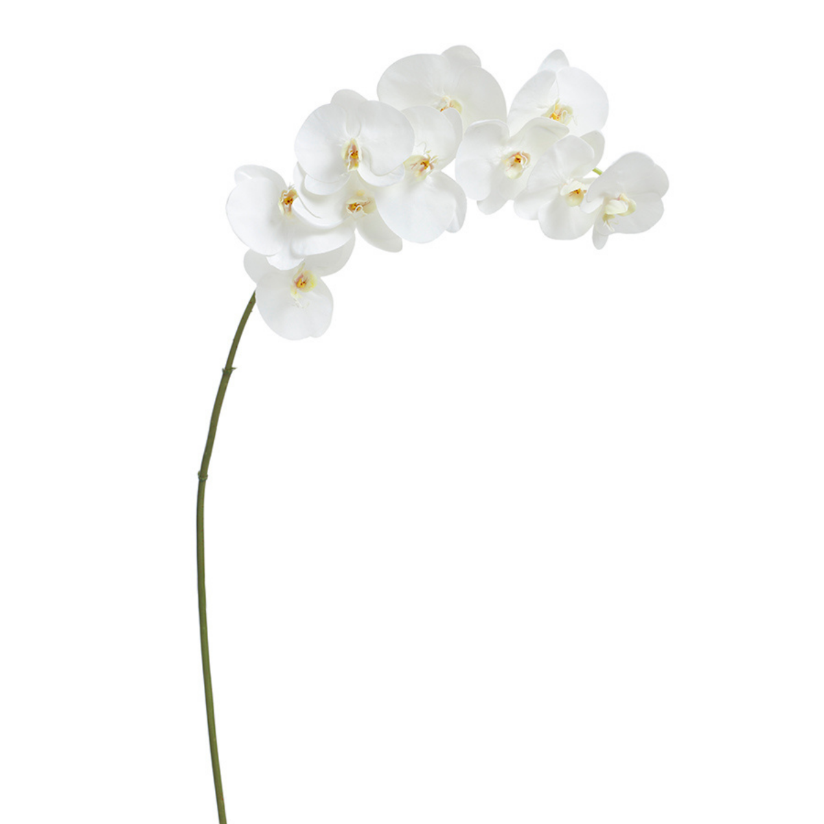 sia-deco-noah-orchid-e-artificielle-premium-blanc-86-cm image 5