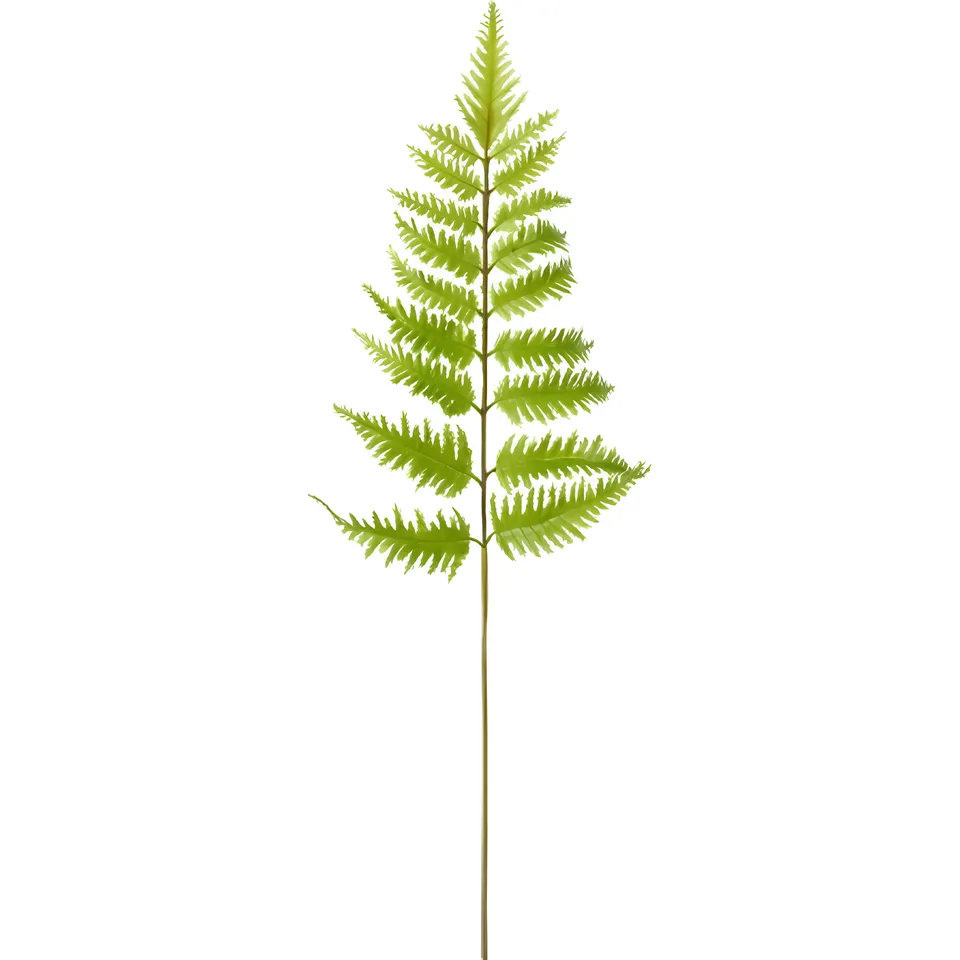 sia-deco-noah-feuillage-foug-re-vert-55cm image 1