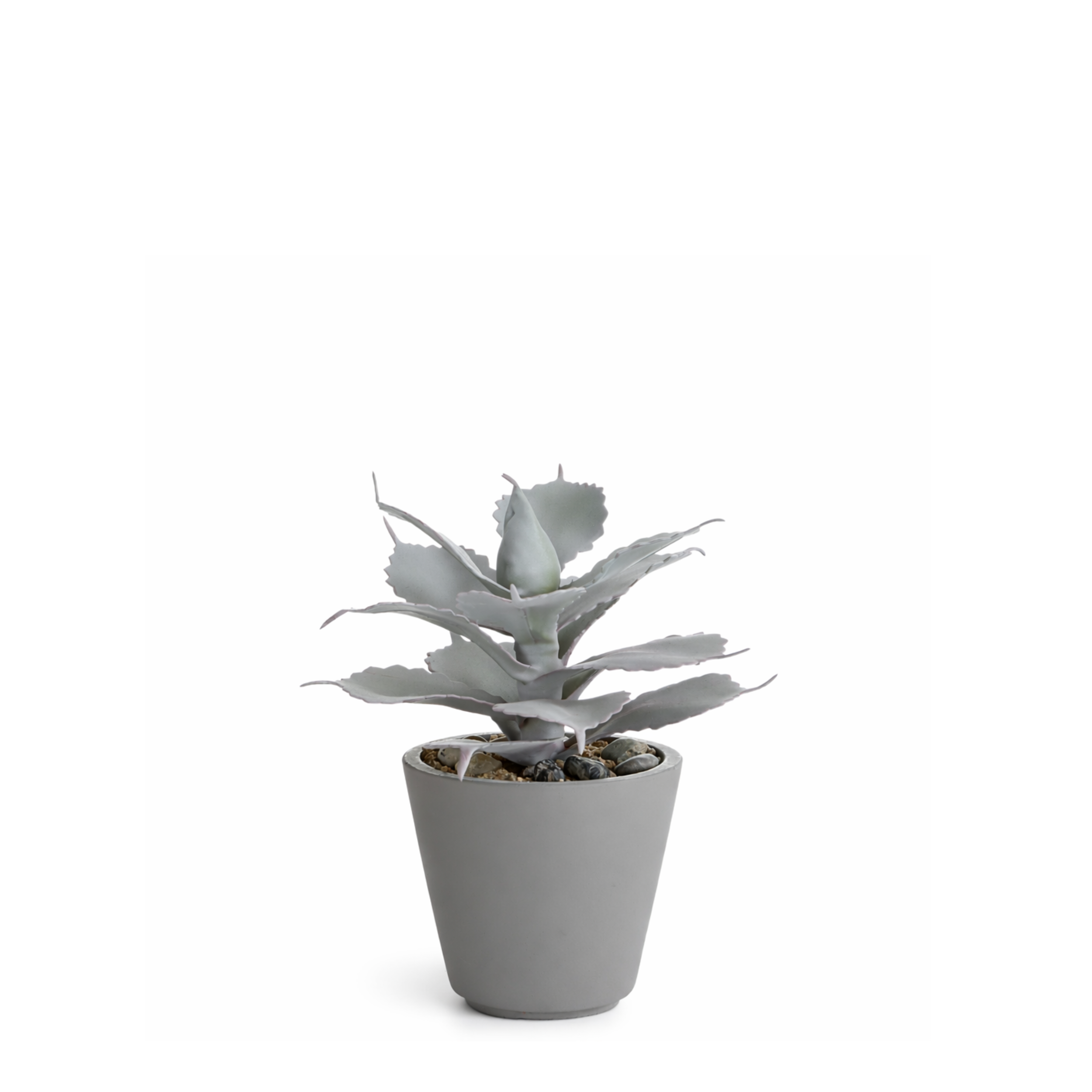 sia-deco-maya-succulente-artificielle-pot-rouge-23-cm image 1