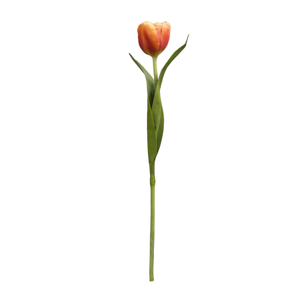 sia-deco-noah-emilia-tige-tulipe-artificielle-rose-p-le image 7