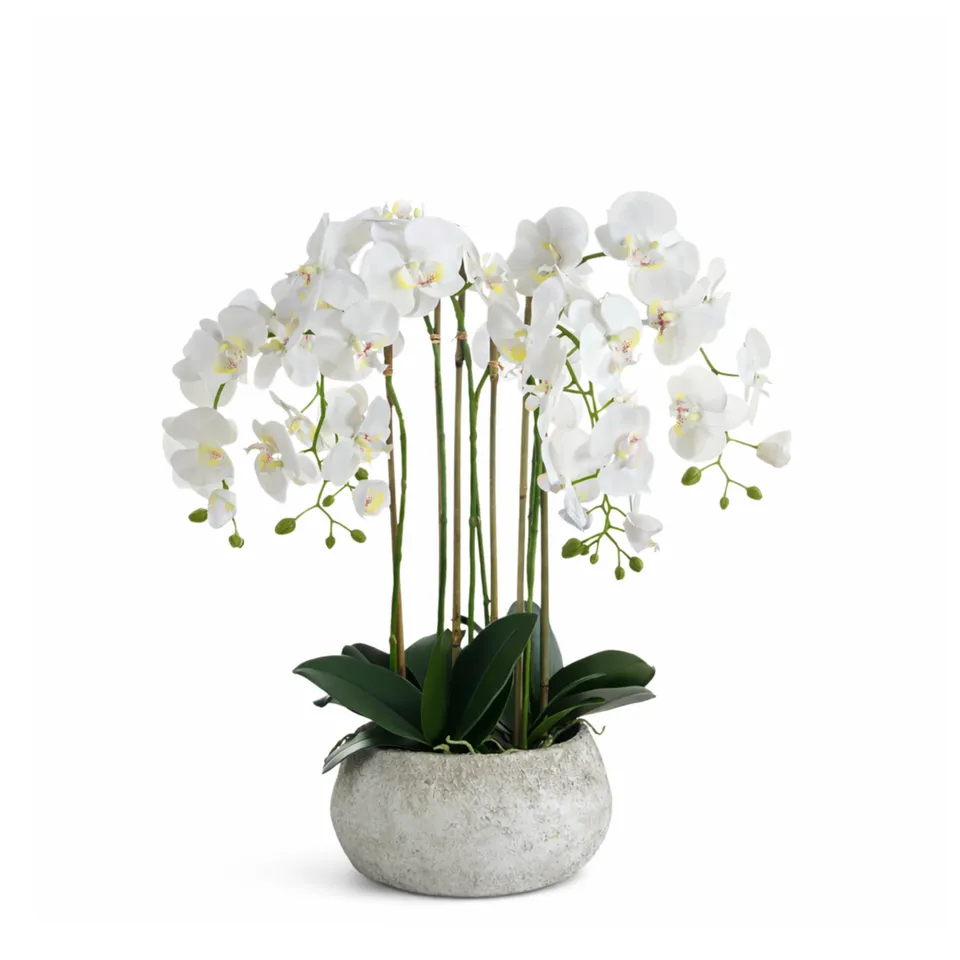 sia-noah-composition-orchid-e-serena-70-cm-fleur-artificielle-blanche image 1