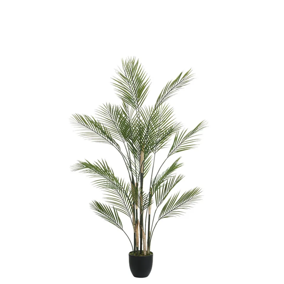 sia-deco-noah-kwai-palmier-artificiel-vert-pot-150-cm image 1