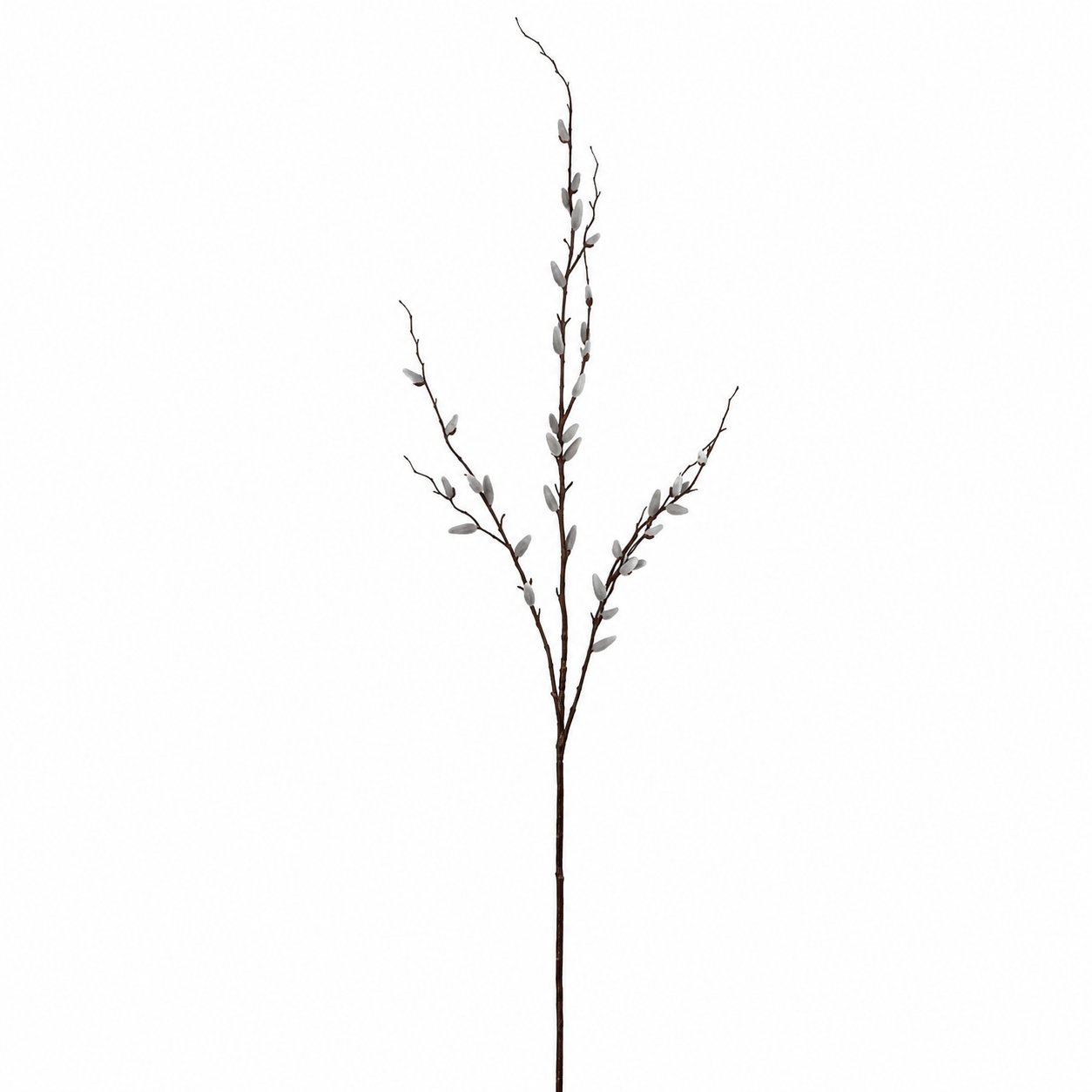 sia-noah-branche-saule-artificielle-cr-me-155-cm image 1