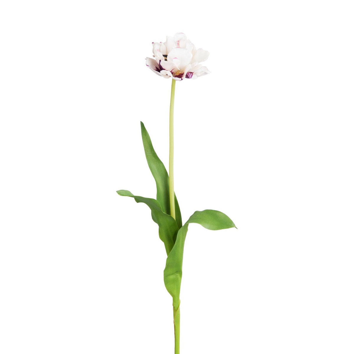 sia-deco-noah-tulipe-double-tige-artificielle-blanc-rose-70-cm image 7