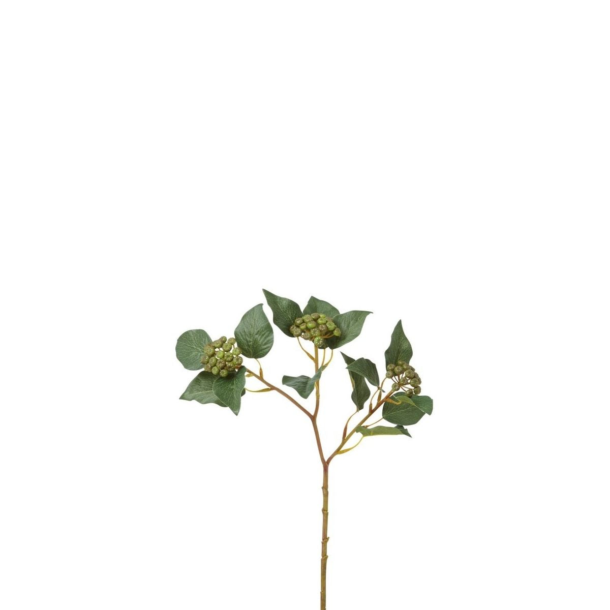 sia-deco-noah-branche-lierre-artificiel-vert-45-cm-baies image 1
