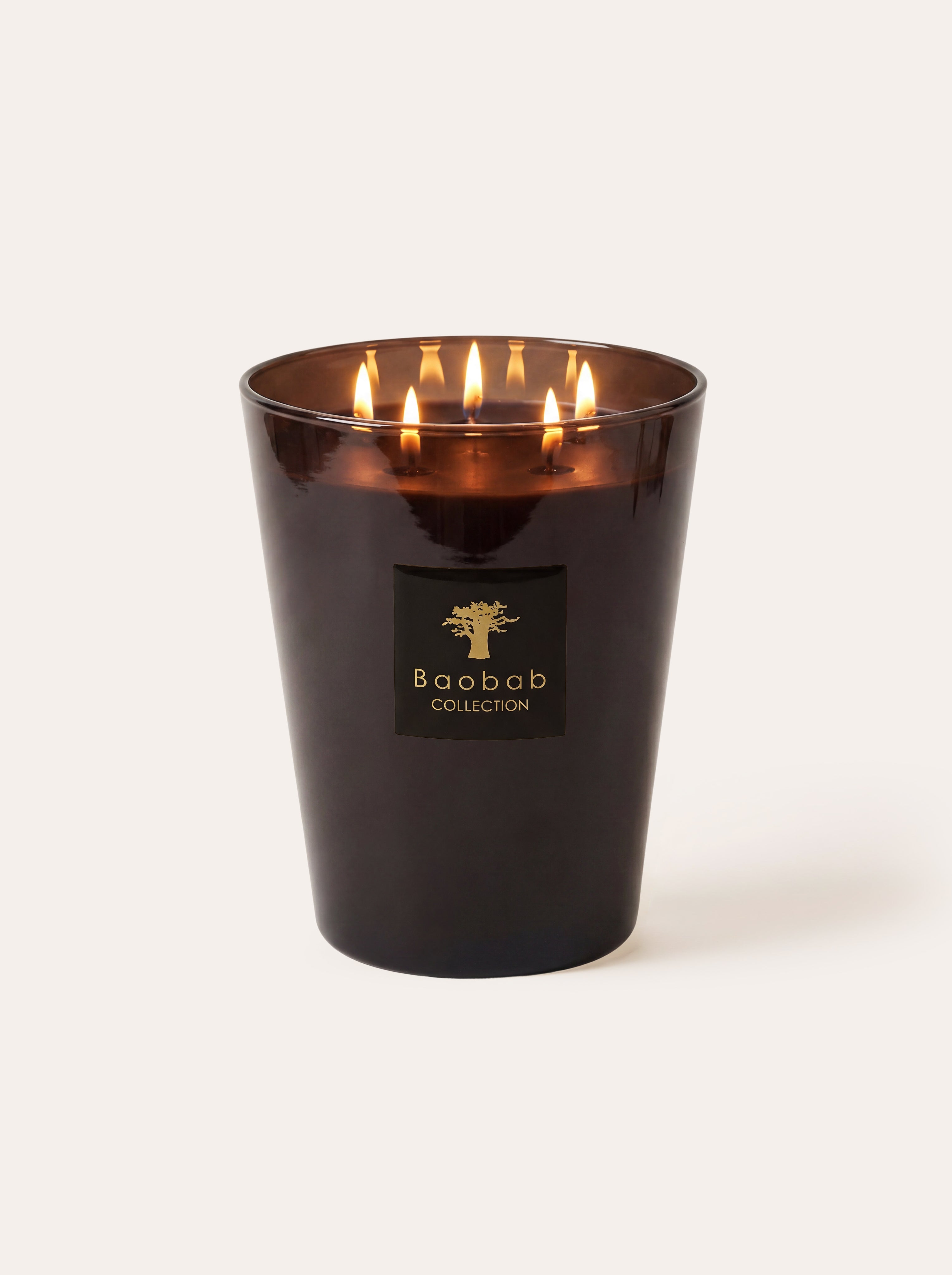 baobab-les-prestigieuses-encre-de-chine-bougie-classique image 1