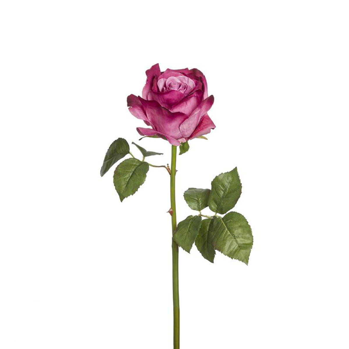sia-deco-noah-sarah-tige-rose-artificielle-orange-57-cm image 2