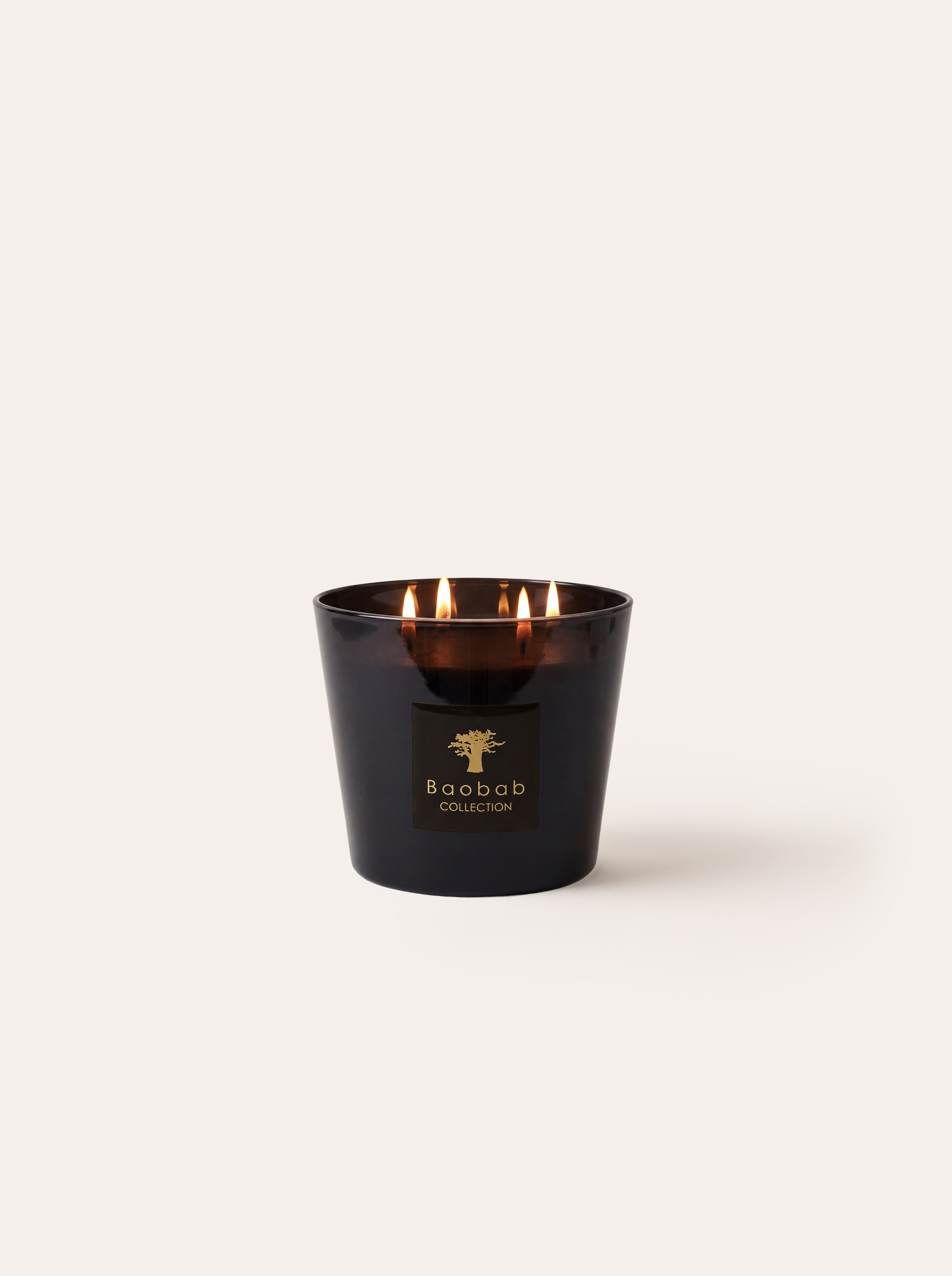 baobab-les-prestigieuses-encre-de-chine-bougie-classique image 7