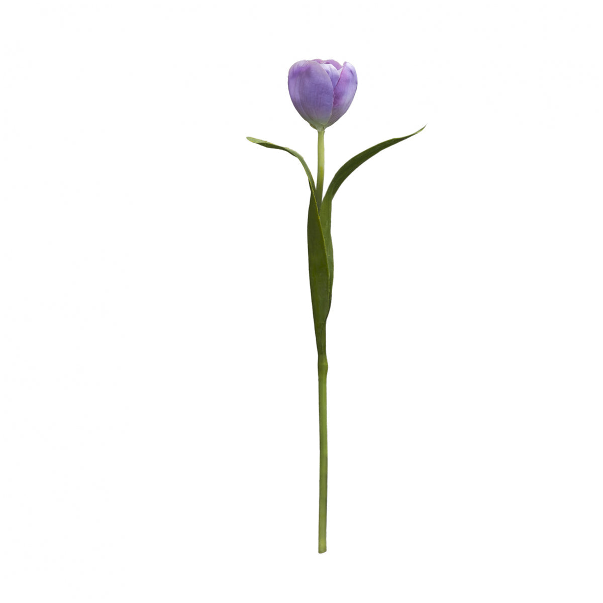 sia-deco-noah-emilia-tige-tulipe-artificielle-rose-p-le image 3