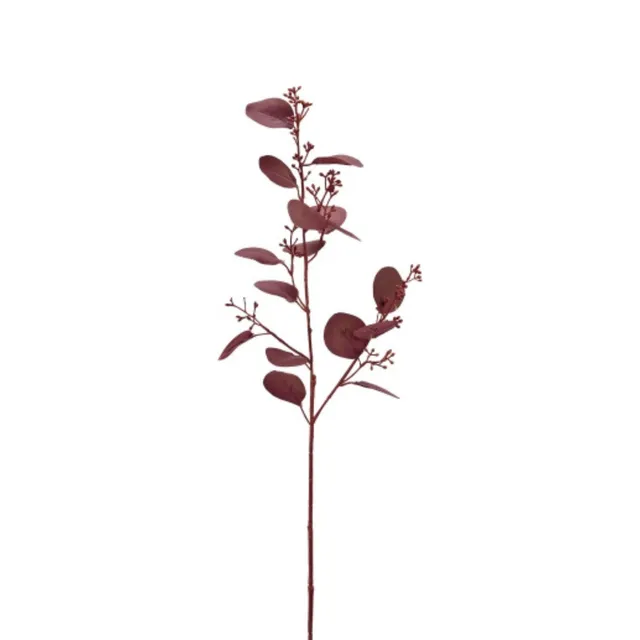 sia-deco-noah-feuillage-eucalyptus-et-graines-tige-60-cm-bordeaux image 1
