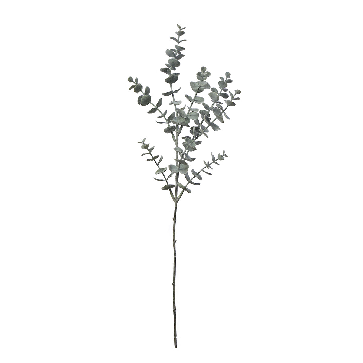 sia-noah-eucalyptus-artificiel-53-cm-vert-blanchi image 1