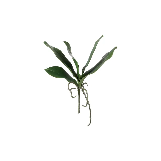 sia-noah-feuillage-orchid-e-phalae-artificiel-vert-22-cm image 1