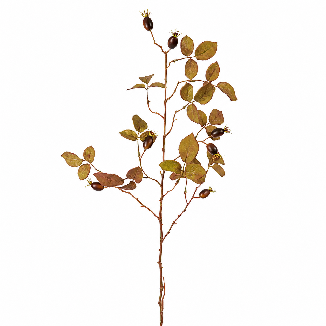sia-noah-glantier-100-cm-feuillage-artificiel-marron-automnal image 1