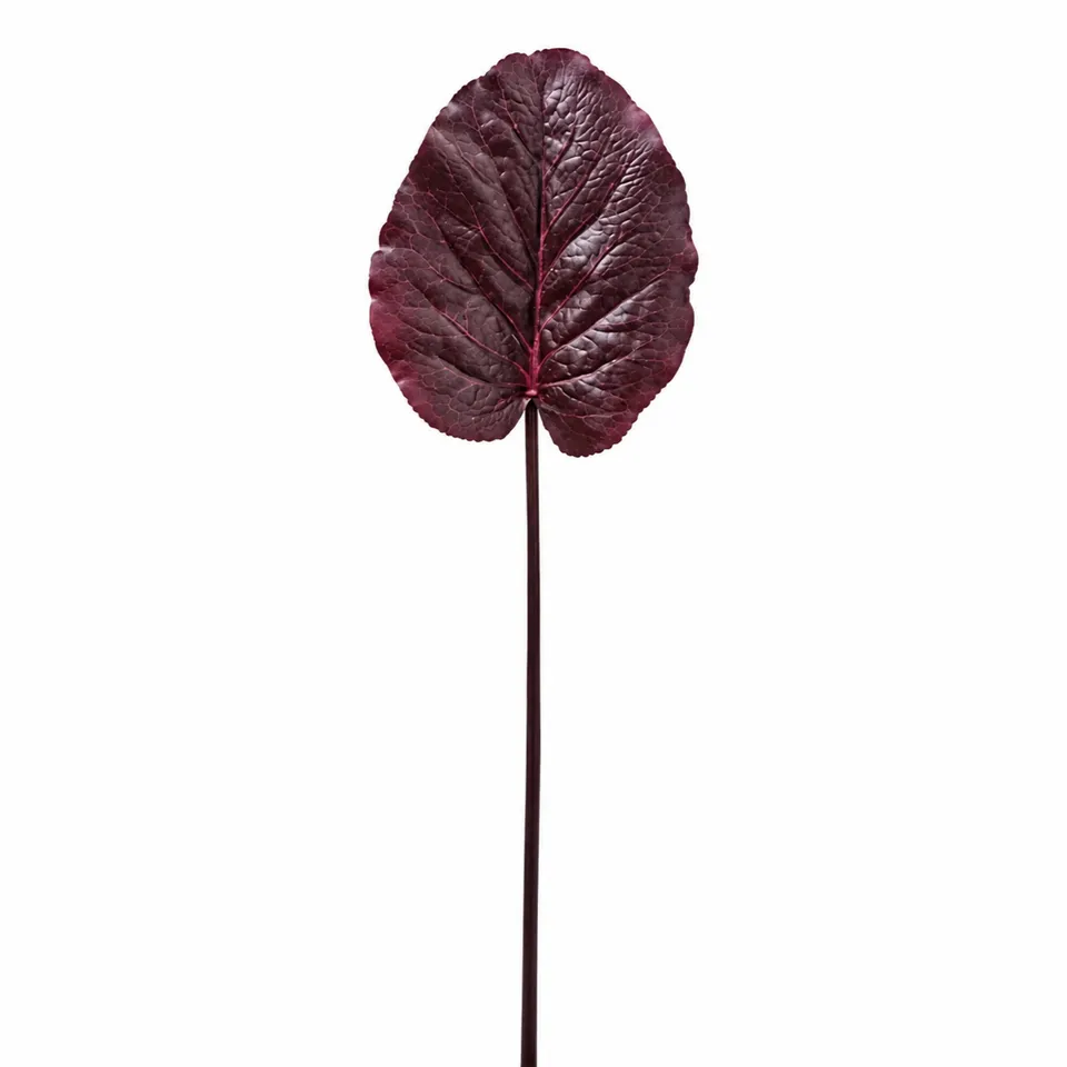 sia-noah-galax-feuille-artificielle-bordeaux-85-cm image 1