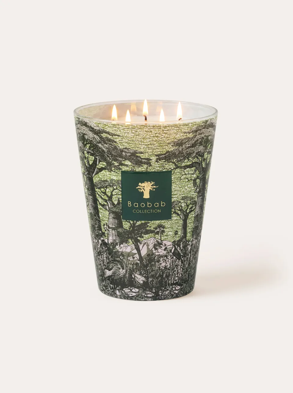baobab-collection-touba-bougie-parfum-e-classique-sacred-trees image 1