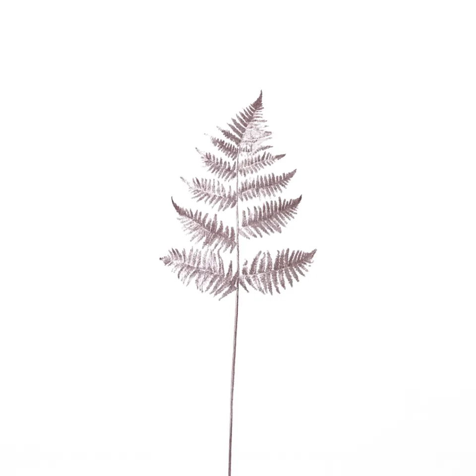 sia-noah-foug-re-m-tallique-argent-73-cm-tige image 1
