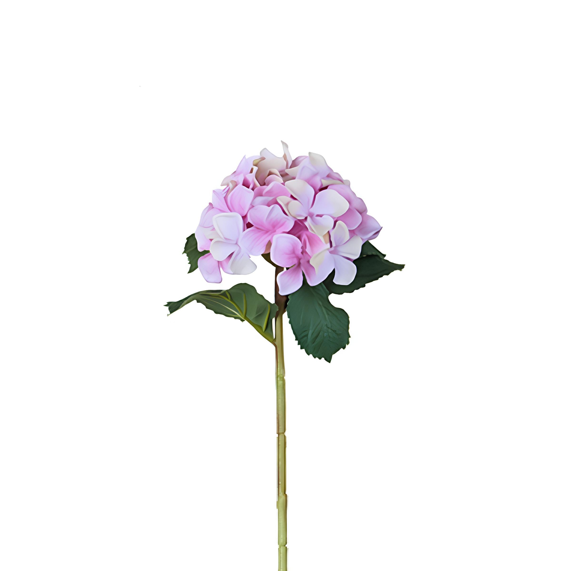 sia-noah-tige-d-hydrangea-26-cm-cr-me-et-rose image 3