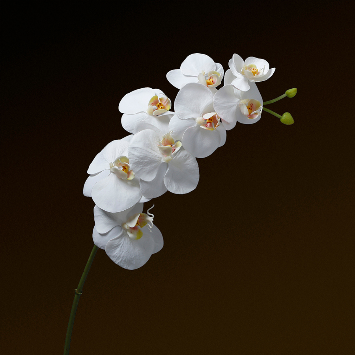 sia-noah-tige-orchid-e-artificielle-blanche-72-cm-premium image 2