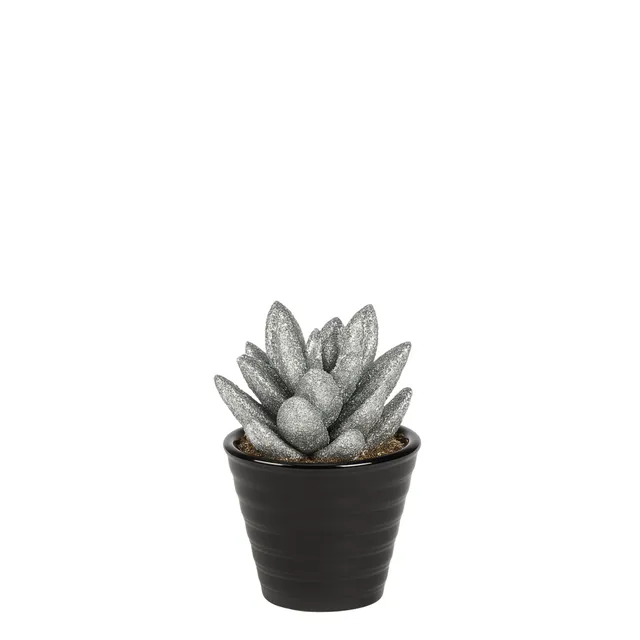 sia-noah-pachyphytum-plante-artificielle-argent-15-cm image 1