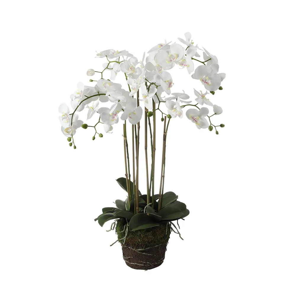 sia-noah-orchid-e-artificielle-blanc-85-cm image 1