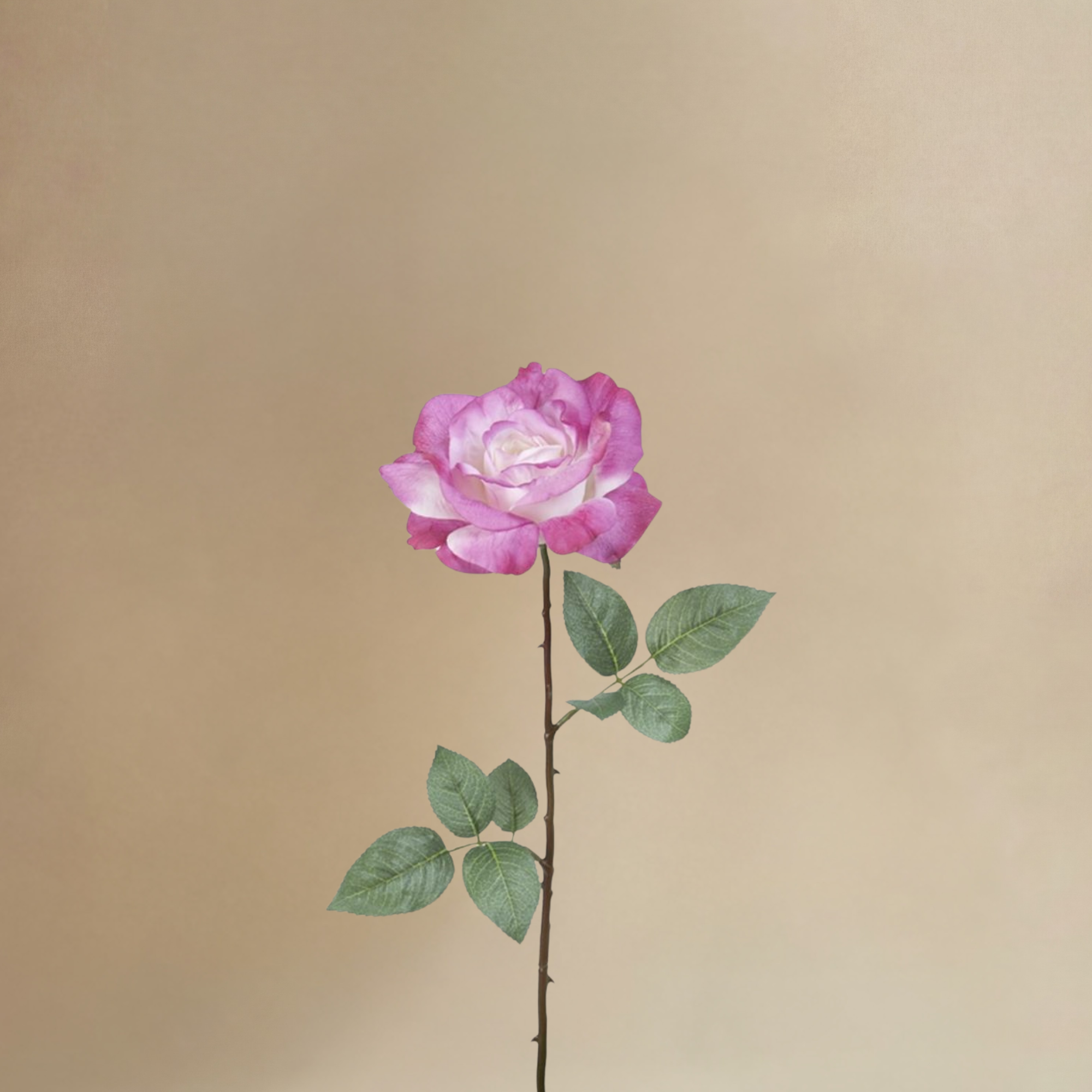 sia-noah-sophie-bouquet-artificiel-12-tiges-rose-cr-me-64-cm image 5