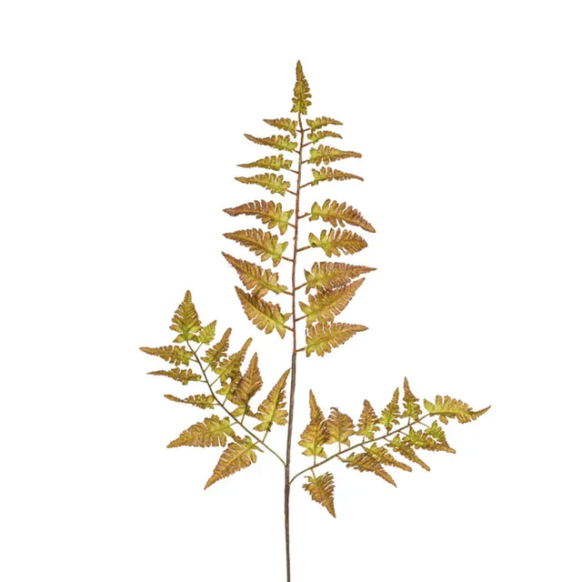 sia-deco-noah-feuillage-foug-re-80-cm-marron image 1