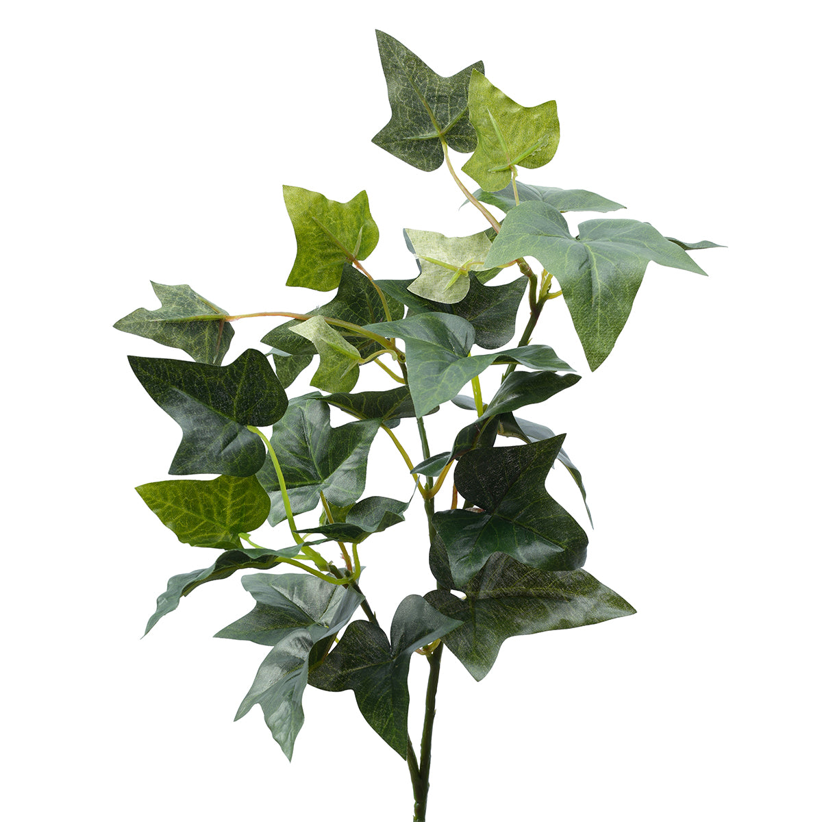 sia-noah-lierre-anglais-feuillage-artificiel-vert-61-cm image 3
