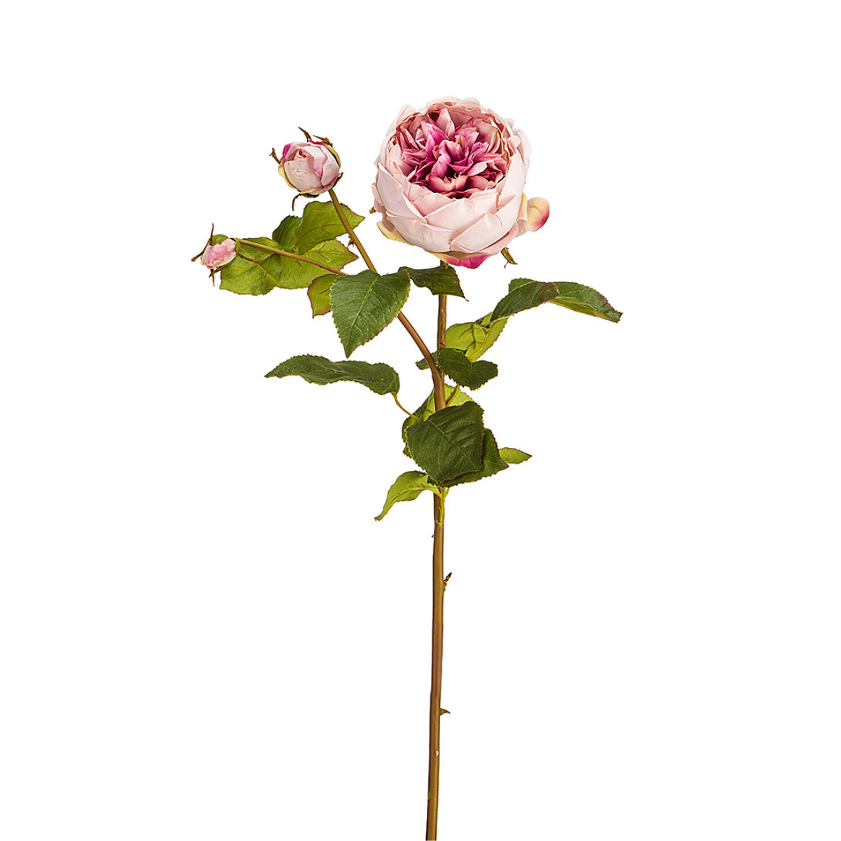 sia-deco-noah-david-tige-rose-ferm-e-artificielle-rose-p-le-80cm image 1