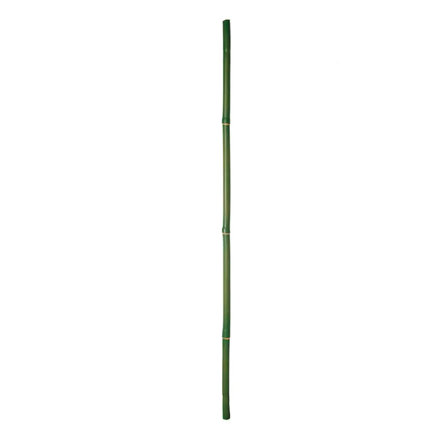 sia-noah-branche-bambou-artificielle-75-cm-vert image 1