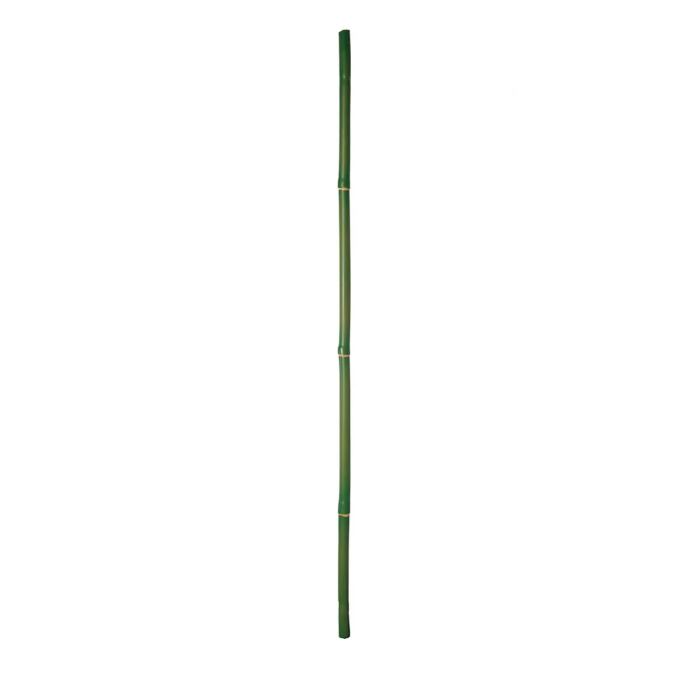 sia-noah-branche-bambou-artificielle-75-cm-vert image 1